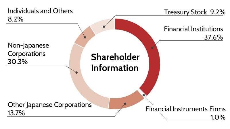 Pie chart of Shareholder information